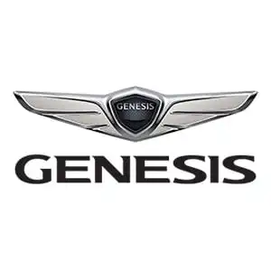 Genesis Touch Up Paint