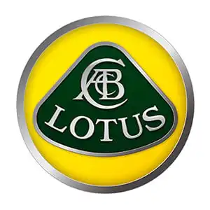 Peinture de retouche Lotus